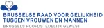 Tussentijds verslag op basis van het overzicht betreffende de acties van het Brussels plan ter bestrijding van geweld tegen vrouwen