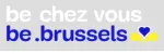 De Instellingen van het Brussels Hoofdstedlijk Gewest