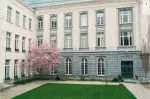The Brussels parlement
