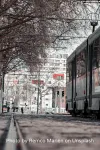 Brulocalis: Covid-19 en Economische Maatregelen