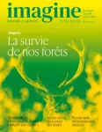 Imagine. Demain le Monde, 163 - Hiver 2025 - Enquête : La survie de nos forêts